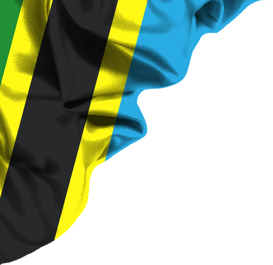 tanzania-1.webp